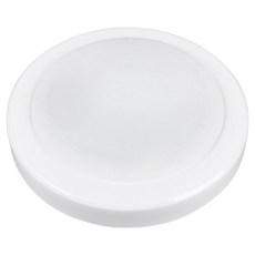 WONHA LED 玄關 走廊 樓梯 所有 乳白 吸頂燈 20W, 晝光色, 1個