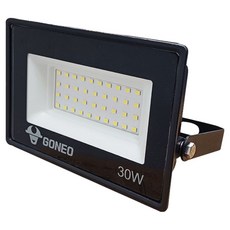 GONEO 노출투광등 30W, 흑색 + 전구색