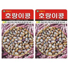 아람종묘 얼룩콩 넝쿨성 호랑이콩 씨앗 30g, 2개