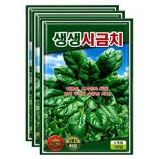 씨앗팜 생생 시금치 씨앗 1000p, 3개