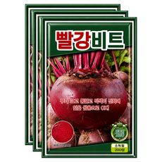 씨앗팜 빨강 비트 씨앗 200p, 3개