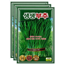 씨앗팜 생생 부추 씨앗 15g, 3개