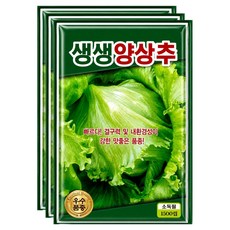 씨앗팜 생생 양상추 씨앗 1500p, 3개
