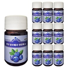 가든필리아 해조류추출물 함유 원샷 블루베리 영양제, 10개, 20ml