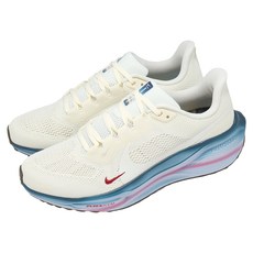 NIKE 耐吉 女款 W AIR ZOOM PEGASUS 41 慢跑鞋 IQ1153-109