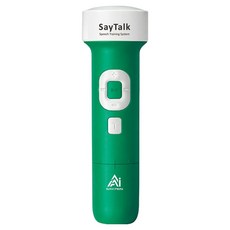 세이펜 5세대 세이톡 STK-4500W, 그린