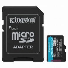 Kingston 金士頓 Canvas Go! Plus microSD 記憶卡 A2 U3 V30 附轉卡 SDCG4/256GB, 1個, 256GB