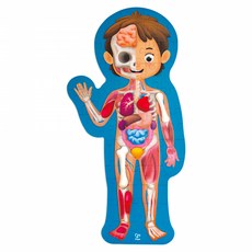 Hape 人體拼圖, 混和顏色, 1套