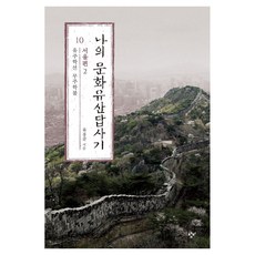 큰글자도서 나의 문화유산답사기 10 : 서울편 2, 반양장