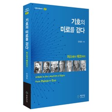 기호의 미로를 걷다, 푸른사상, 안정오