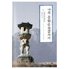 큰글자도서 나의 문화유산답사기 6 : 인생도처유상수, 반양장