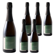 WUVAVA 發酵無酒精氣泡酒風味飲 SPARKLING MUSCAT 星空, 6個, 750ml