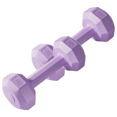 코레시스 예쁜 파스텔톤 홈트용 아령 퍼플, 2개, 2kg