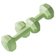 코레시스 예쁜 파스텔톤 홈트용 아령 그린, 2개, 3kg