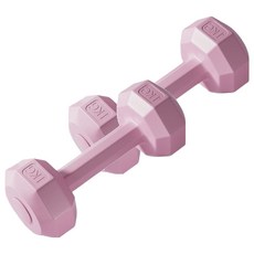 코레시스 예쁜 파스텔톤 홈트용 아령 핑크, 2개, 1kg
