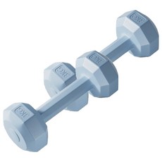코레시스 예쁜 파스텔톤 홈트용 아령 블루, 2개, 3kg