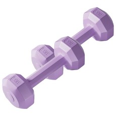 코레시스 예쁜 파스텔톤 홈트용 아령 퍼플, 2개, 3kg