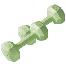 코레시스 예쁜 파스텔톤 홈트용 아령 그린, 2개, 1kg