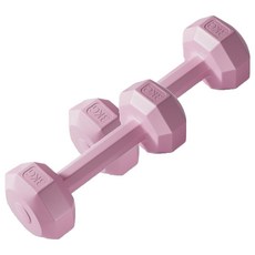 코레시스 예쁜 파스텔톤 홈트용 아령 핑크, 2개, 3kg