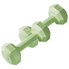 코레시스 예쁜 파스텔톤 홈트용 아령 그린, 2개, 2kg