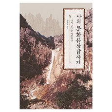 나의 문화유산답사기 5: 다시 금강을 예찬하다 큰글자책, 큰글씨 큰글씨