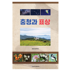 충청과 표상, 충남대학교출판문화원, 충청언론학회 충남대학교출판문화원, 충청언론학회