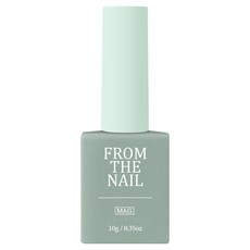 프롬더네일 MAGNET GEL FG338, 민티, 1개, 10ml