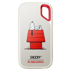 SanDisk 晟碟 台灣公司貨 行動固態硬碟 SNOOPY聯名款 SDSSDE61-1T00-AP, 白色, 1TB