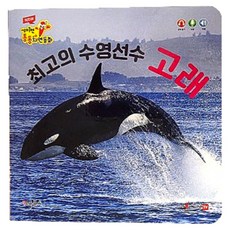 최고의 수영선수 고래(세이펜 적용), 보드북