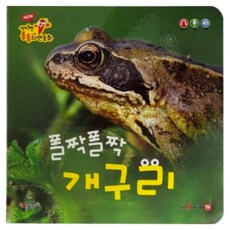 폴짝 폴짝 개구리 세이펜 적용