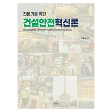 전문가를 위한건설안전혁신론, 페이퍼북 페이퍼북