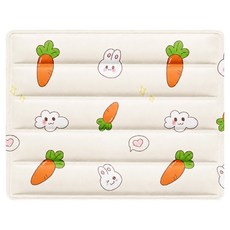 픽앤펫 반려동물 프레쉬 모멘트 쿨링 젤 메트, 캐럿, 1개