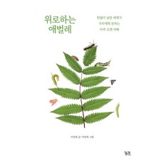 위로하는 애벌레 큰글자도서, 궁리출판사, 이상권