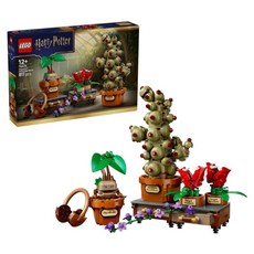 LEGO 76474 哈利波特 霍格華茲 藥草學植物 Hogwarts Herbology Plants, 1個