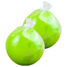 토이토 청사과 왁뿌 말랑이 스트레스볼, 그린, 65g, 2개