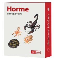 호르메 몬테소리 전갈 한살이 피규어 4종 세트, 1세트