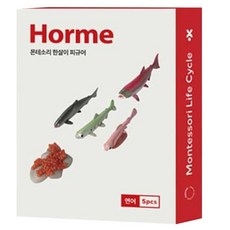 호르메 몬테소리 연어 한살이 피규어 5종 세트, 1세트