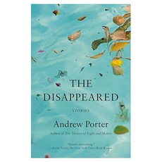 The Disappeared:Stories, Vintage