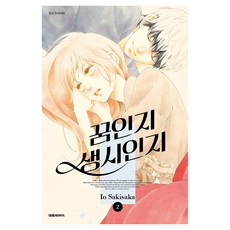 꿈인지 생시인지 2, 대원씨아이, 사키사카 이오 대원씨아이, 사키사카 이오