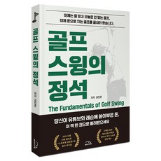 골프 스윙의 정석, 모티브, 김민준 모티브, 김민준