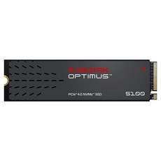 샌디스크 Optimus 5100 M.2 NVMe SSD, SDSP51500GAN-000E0, 500GB