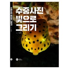수중사진 빛으로 그리기, 반양장