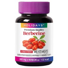 홀리데이즈 프리미엄 베르베린 36g, 1개, 60정