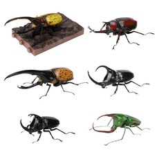 BANDAI 盒玩 生物大圖鑑 獨角仙09 6入組 附底座, 1套