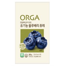 올가홀푸드 유기농 블루베리 퓨레, 20g, 10개