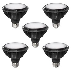 BLINGLIGHT VO LED PAR30 15W 擴散型 黑色, 暖白光, 5個