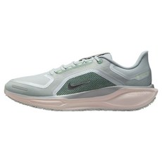 나이키 남성용 페가수스 41 고어텍스 러닝화 FQ1356-007