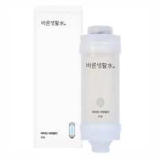 바른생활수 비타민 샤워필터, 1개, 무향