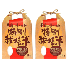 Well Life 悅生活 長野縣爆Q松阪越光米, 2kg, 2個, 特A級