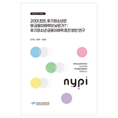 20대 초반 후기청소년은 왜 금융이해력이 낮은가?: 후기청소년 금융이해력 증진 방안 연구, 한국청소년정책연구원, 김지경, 송현주, 송원일